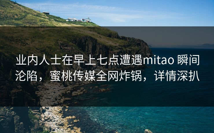 业内人士在早上七点遭遇mitao 瞬间沦陷，蜜桃传媒全网炸锅，详情深扒